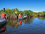 Everglades Nationalpark Fotografie von Citysam  Bootsausflug in den Everglades