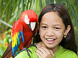Parrot Jungle and Gardens Bildansicht Reiseführer  
