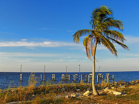 Everglades Nationalpark