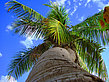 Florida Keys - Florida (Key Largo)