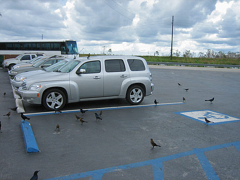 Fotos Parkplatz | 