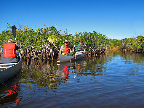 Everglades Nationalpark