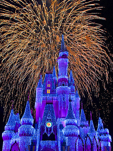 Walt Disney World Resort - Florida (Orlando)